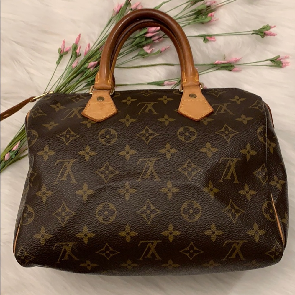 Louis Vuitton Monogram Mini Satchel in Brown and Tan Leather - Picture 2 of 16